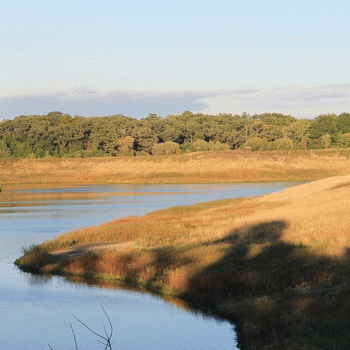 Oaks Of Bethel : The Book of Odes III